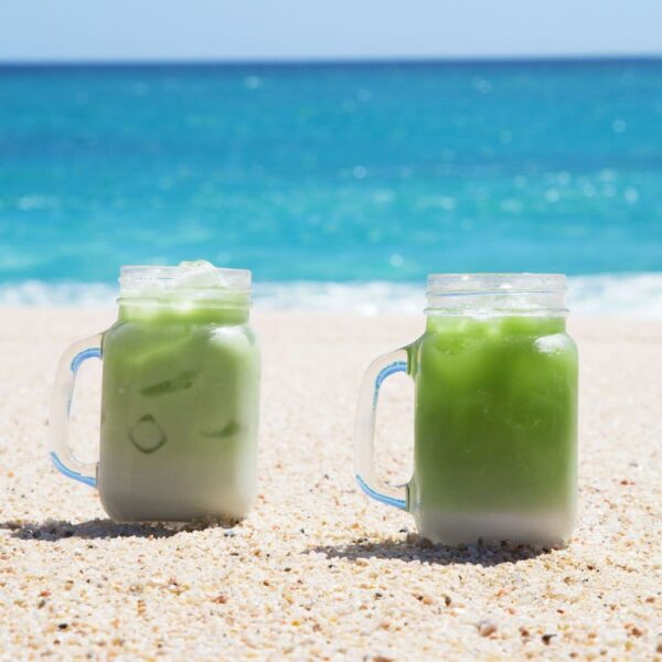 Matcha latte coco Andes Tea