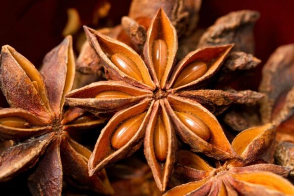 Té Chai Andes Tea