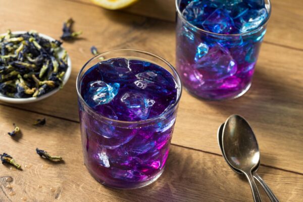 Flor guisante de mariposa - Butterfly Pea - Clitoria Ternatea