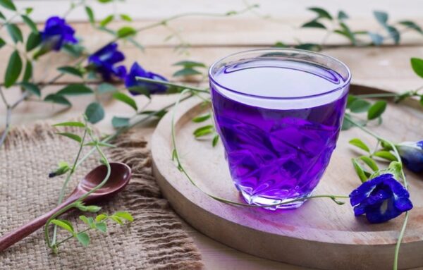 Flor guisante de mariposa - Butterfly Pea - Clitoria Ternatea