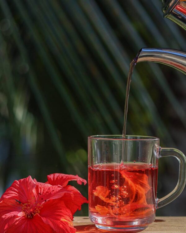 Flor de Jamaica - Hibisco Andes Tea