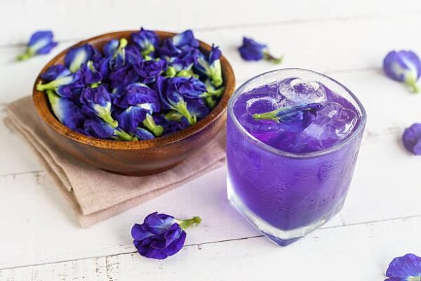 Flor guisante de mariposa - Butterfly Pea - Clitoria Ternatea