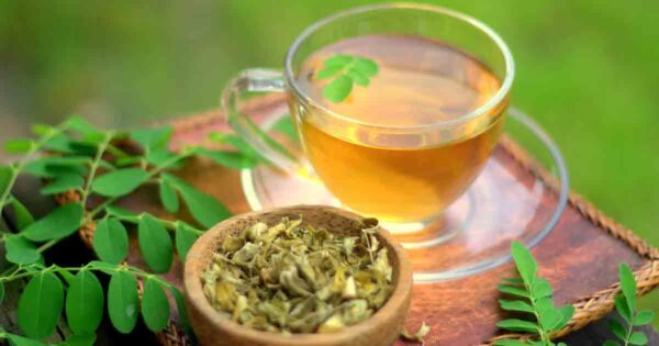 Moringa Natural Andes Tea