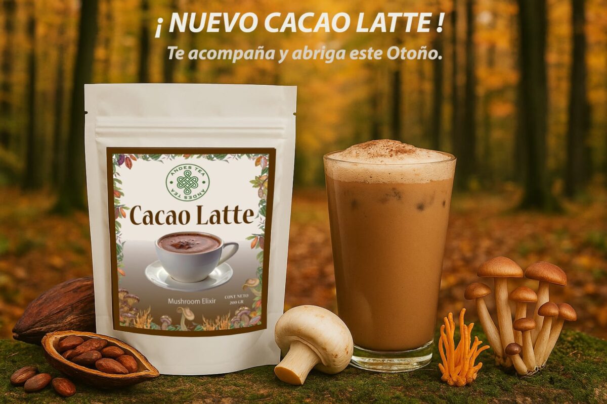cacao latte Muhroom elixir andes tea