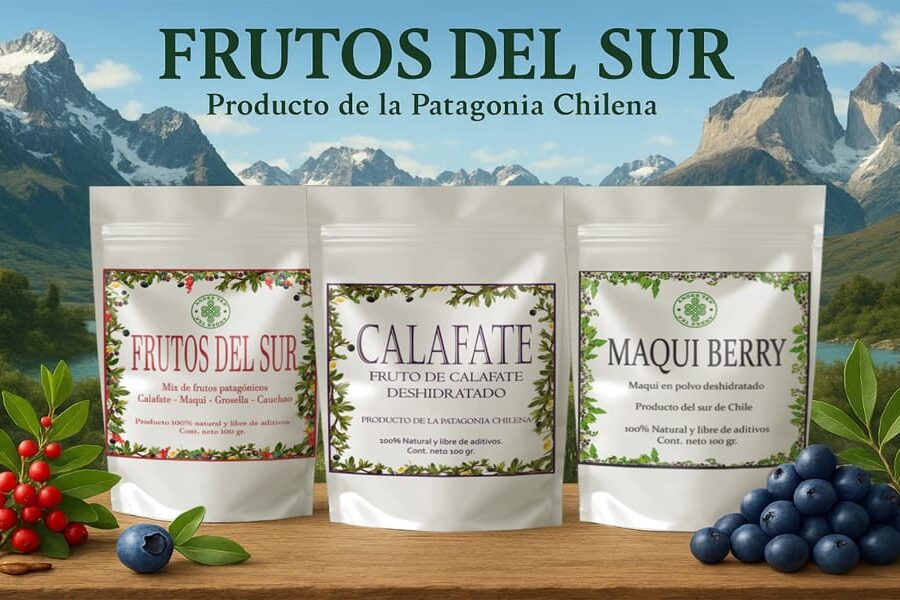 frutos silvestres del sur de Chile calafate, grosella, maqui y cauchao