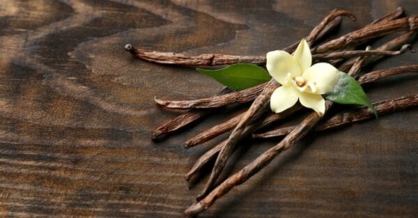 VELVET NOIR BLEND ANDES TEA